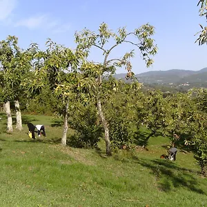La Casina Alloggio per agriturismo Caprese Michelangelo